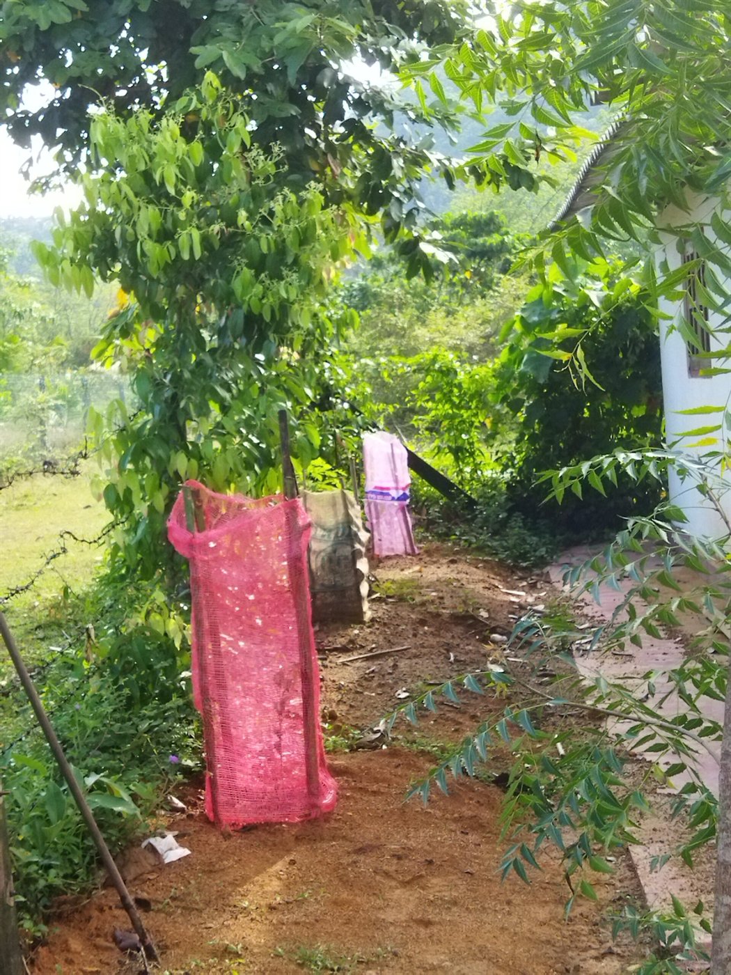 Field Inspection Outreach